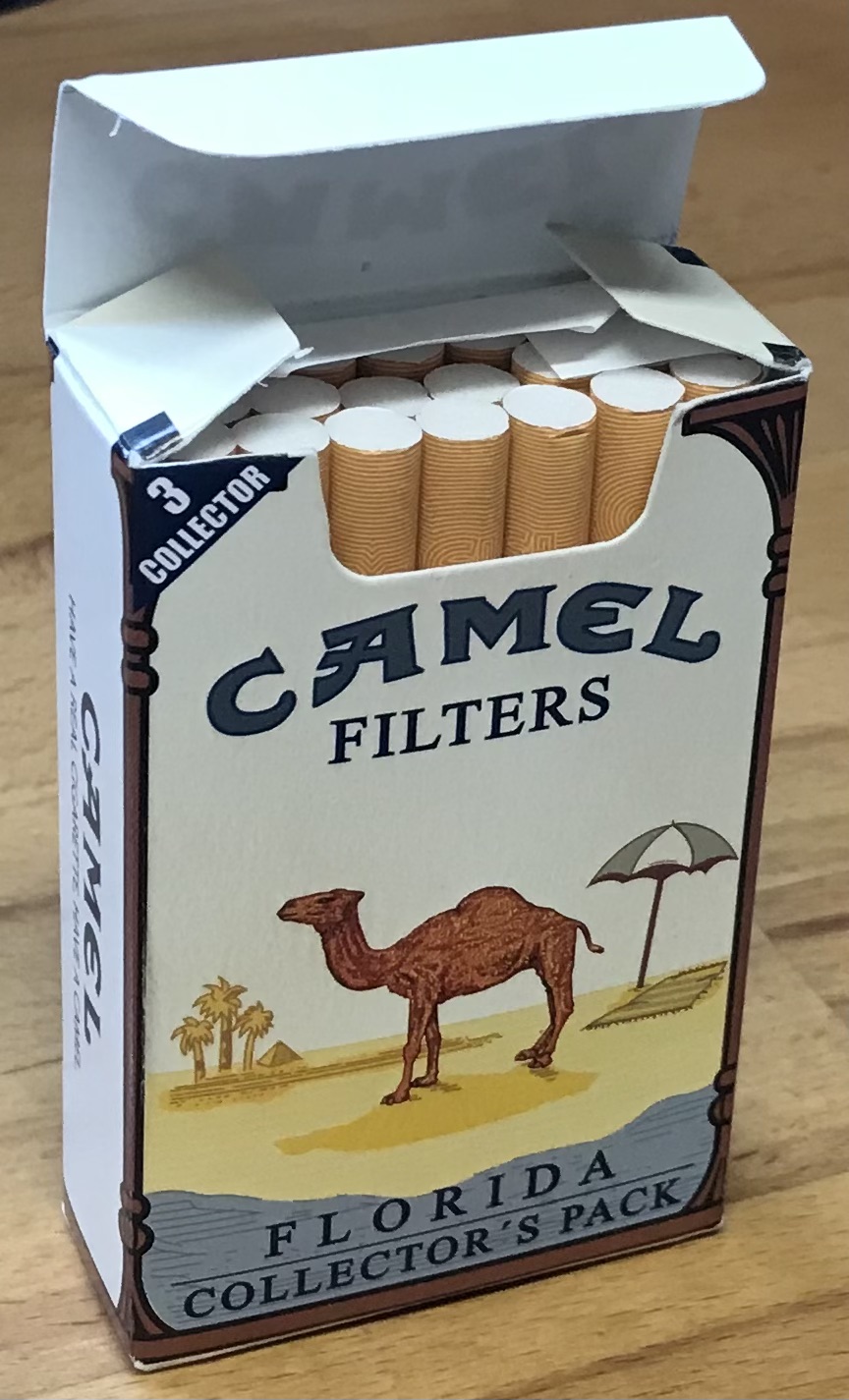 camel_florida_03